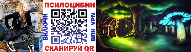 mega ссылка  Бородино  Псилоцибиновые грибы Cubensis 