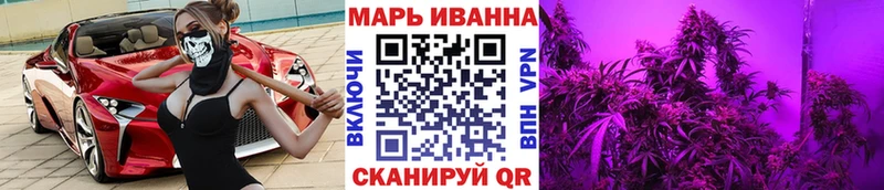 Конопля марихуана Бородино